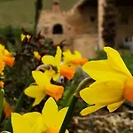 Bed and breakfast Casale Delle Rondini 3*