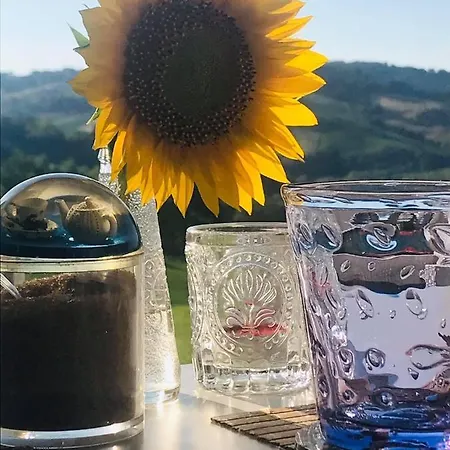 住宿加早餐酒店 卡萨莱阿尔隆蒂尼住宿加早餐旅馆