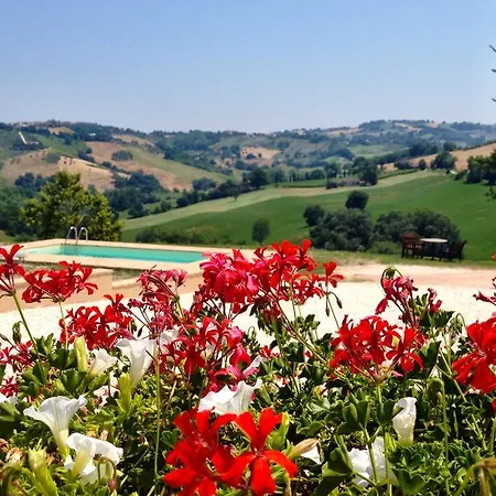 住宿加早餐酒店 卡萨莱阿尔隆蒂尼住宿加早餐旅馆 3*