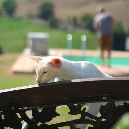 Casale Delle Rondini 4* 톨렌티노