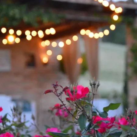 B&B Casale Delle Rondini