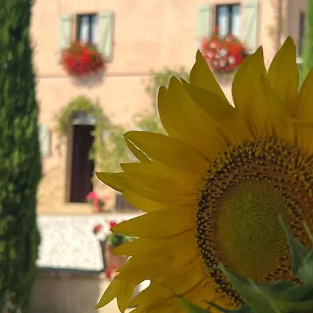 Casale Delle Rondini B&B