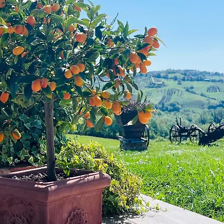 B&B Casale Delle Rondini 톨렌티노