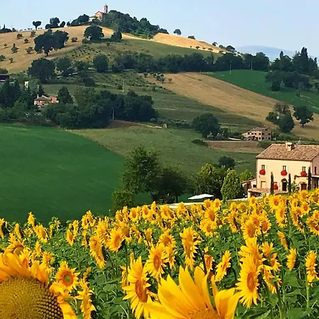 Casale Delle Rondini 4* 톨렌티노