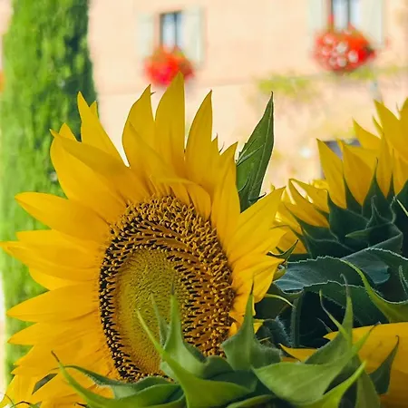 B&B Casale Delle Rondini 4*