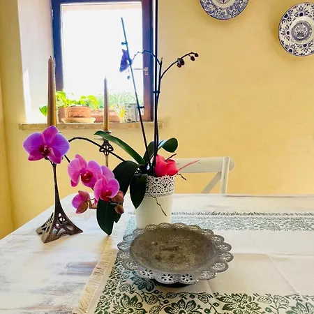 Casale Delle Rondini B&B 톨렌티노
