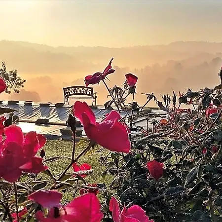 Bed & Breakfast Casale Delle Rondini 4*