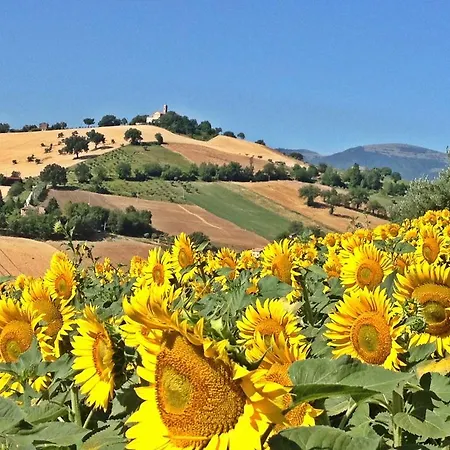 住宿加早餐酒店 卡萨莱阿尔隆蒂尼住宿加早餐旅馆 3*