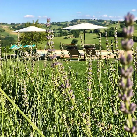 卡萨莱阿尔隆蒂尼住宿加早餐旅馆 3*