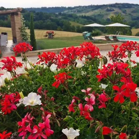 卡萨莱阿尔隆蒂尼住宿加早餐旅馆 3*