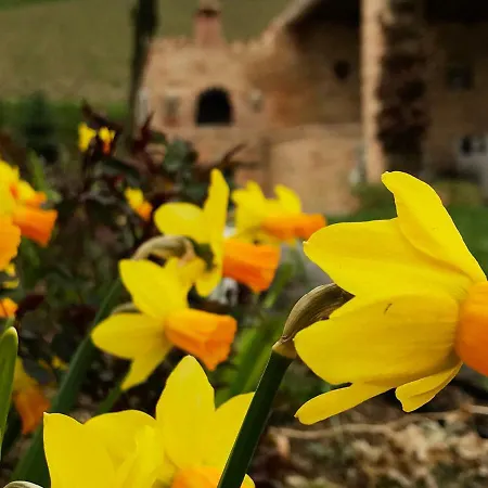 住宿加早餐酒店 卡萨莱阿尔隆蒂尼住宿加早餐旅馆 3*