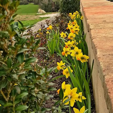卡萨莱阿尔隆蒂尼住宿加早餐旅馆 3*