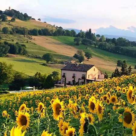 Casale Delle Rondini Bed & Breakfast Tolentino