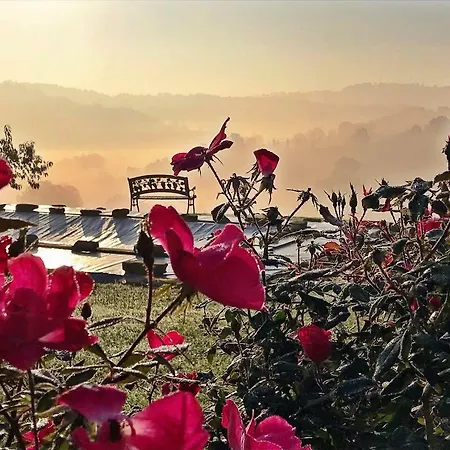 卡萨莱阿尔隆蒂尼住宿加早餐旅馆