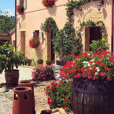 卡萨莱阿尔隆蒂尼住宿加早餐旅馆 住宿加早餐酒店 3*