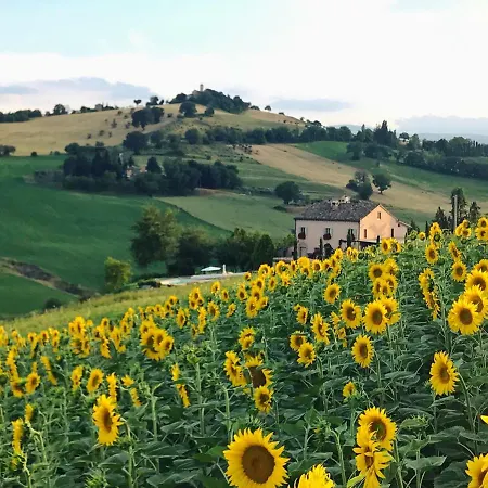 Casale Delle Rondini Oda ve Kahvaltı Tolentino