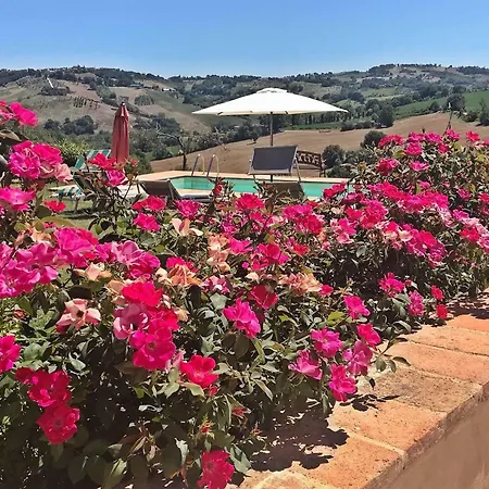 住宿加早餐酒店 卡萨莱阿尔隆蒂尼住宿加早餐旅馆