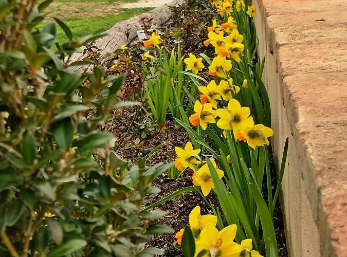 卡萨莱阿尔隆蒂尼住宿加早餐旅馆 3*